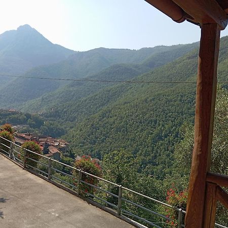 Agriturismo U' Spigu Nonna Annetta Nasino Exterior foto